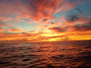 Sunrise with Clean Energy Design