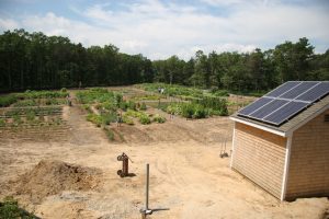 Garden Solar